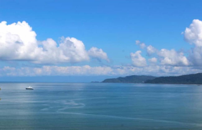 Beautiful House With Panoramic View of the bay and Gardens - Photo 30