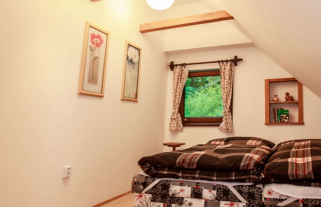 3 bedroom House in Lipno nad Vltavou with garden - Photo 13