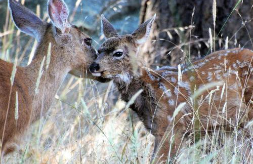 Dreiländereck am Kaiserstuhl - Photo 14