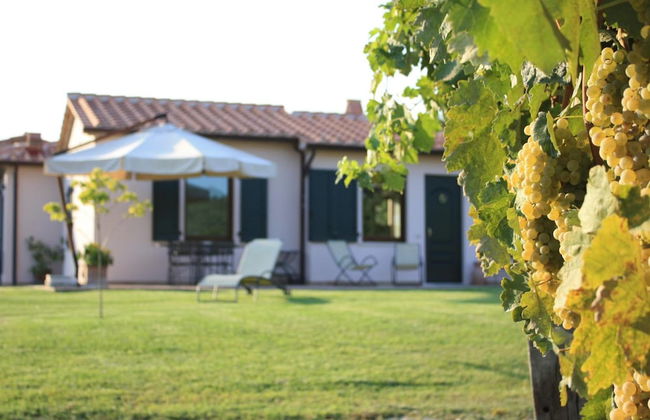 I Sicomori - Seme di Carota - Glamping e appartamenti con piscina a Saturnia - Foto 40