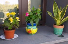 Il Calice dell'Etna - Foto 47