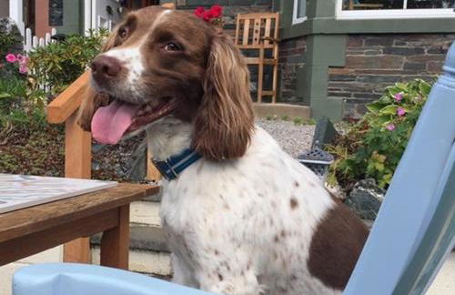 The Mount self-catering - Foto 21