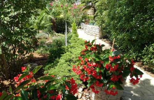 Apartments Barbara - Photo 44