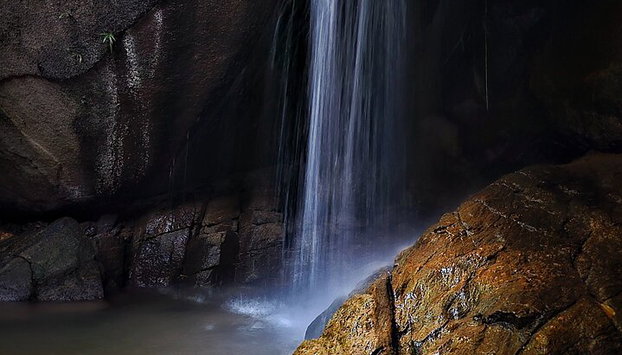 Visita guiada al bosque de Tijuca para grupos pequeños - Foto 4