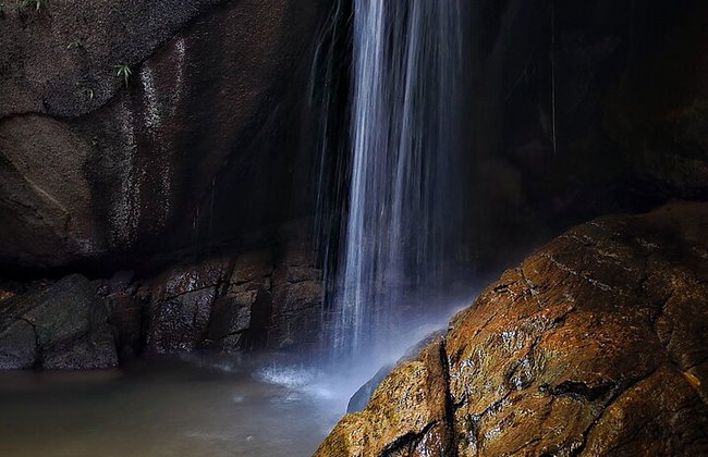 Visita guiada al bosque de Tijuca para grupos pequeños - Foto 4
