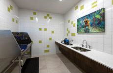 Executive stay - Foto 17