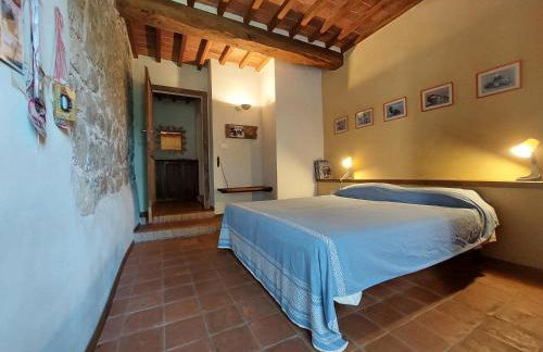 Sport Bikes and Nature - Foto 23