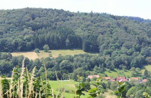 Ferienwohnung Rimbach - Foto 19