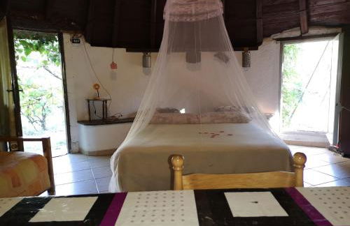 Pinnettu sardo tipica abitazione sarda in ecosistema insetti e animaletti simpatici in condivisione bagno esterno a 10metri Leggere attentamente Prima di prenotare - Foto 16