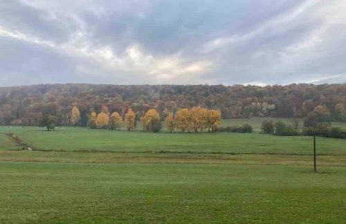 Gîte du Pavillon 4 pers Wi-Fi Haute Marne - Foto 14