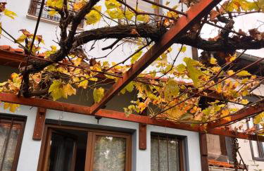 ΚΥΑΝΟΝ παραδοσιακή μονοκατοικία στην Φλώρινα - Foto 12