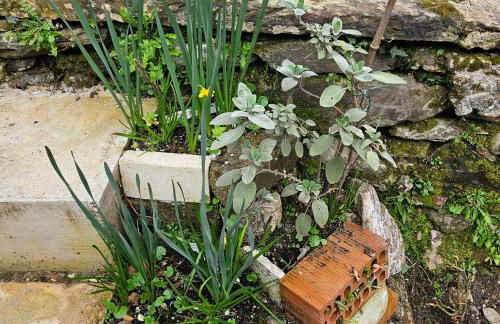 Gli Orti di Mulina le Apuane con parcheggio privato e WiFi - Foto 38