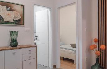 Apartman Iko Cista Provo - Foto 19