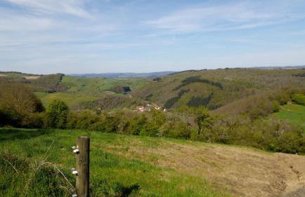 tiny house Pfalz Wellness und Wanderurlaub - Foto 38