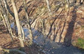 Ferienhaus an der Brunnenaue 4 Sterne, E-Ladestation am Haus, Wlan, Netflix, Garten - Foto 59