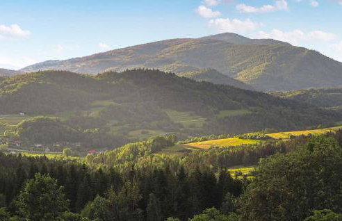 Beautiful Home In Niedzwiedz With Sauna - Foto 8