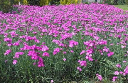 Casa do Souto - Foto 28