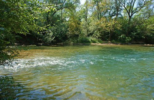 Vigne et cigale - Foto 25