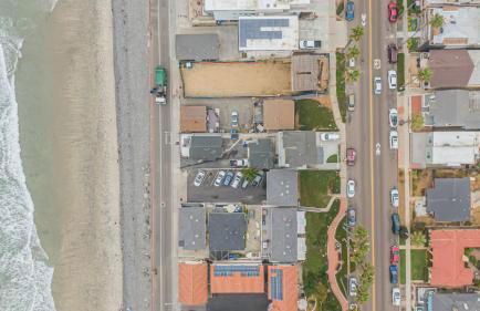 The Shining Sea Crab - Foto 34