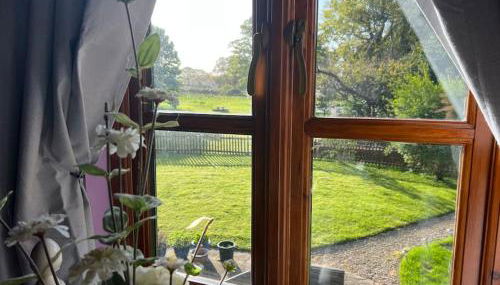 'Toasty Oasty' - 18th Century Oast House - Foto 5