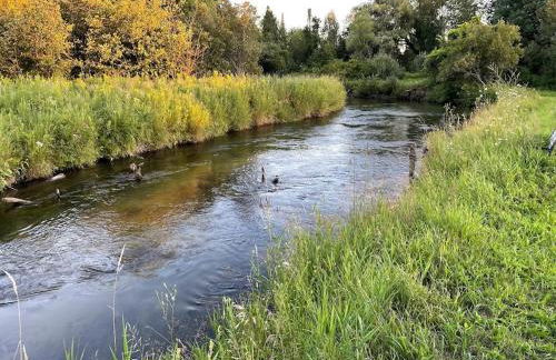 Rifle River Lodge - Foto 23