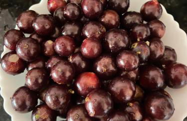 Casa familiar na 405 - Palmas - Foto 30