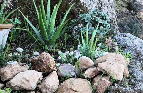 Finca Sa Cova de Mallorca - Foto 63