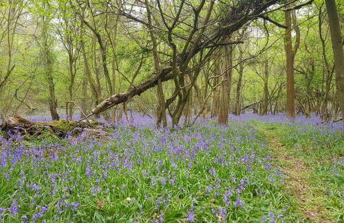 Willow Studio - Foto 28