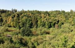 Lahnhaus Brühl/ Fende Haus - Foto 27