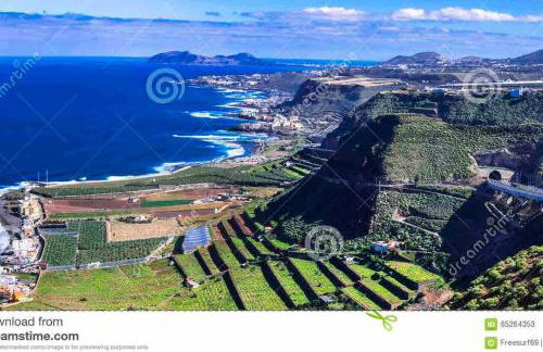 Luminoso y acogedor - Foto 25