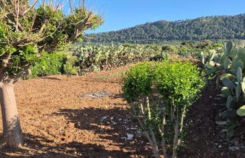 La casa sotto le stelle - Ustica - Foto 6