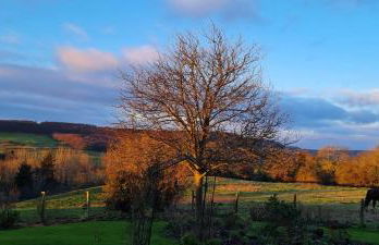 Woodpeckers Cottage - Foto 46