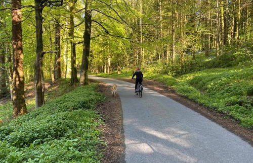 Stables Cottage - Foto 35