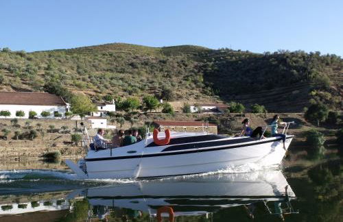 Douro Yacht Charter & Bungalows - Foto 18
