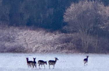 Das Blaue Haus - Foto 21