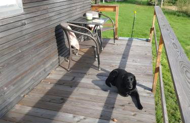 Tinyhaus Lara - Foto 19