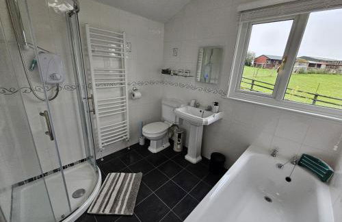 Bryn Y Garreg Cottage - The Wireless Tech Free Farm - Photo 30