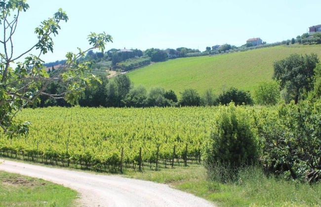 Apartment in a Farmhouse With Pool - Foto 26