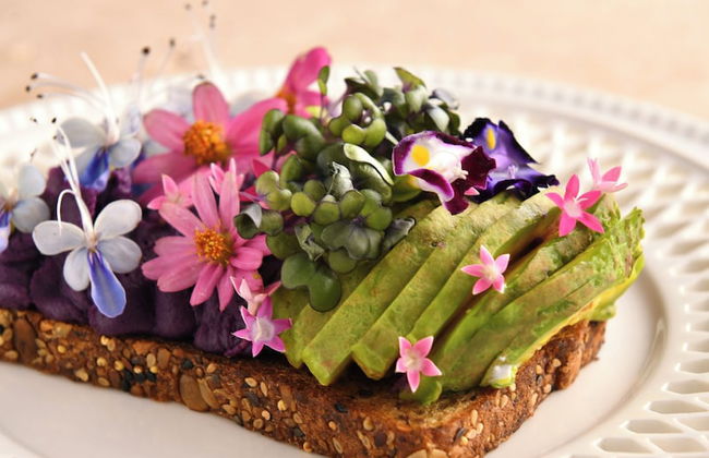 Orocor retreat - Photo 16