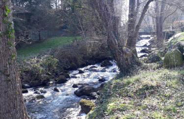 Le Moulin des Noës gîte 3 étoiles - Foto 6