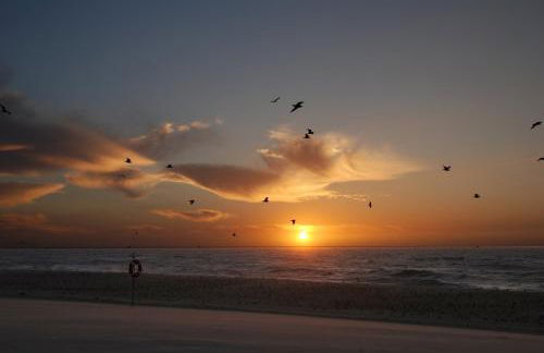 Casa dos Capinha - Photo 37