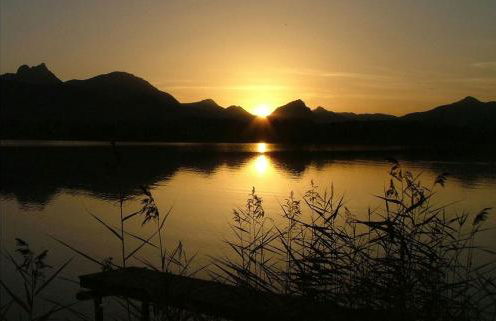 Ferienwohnung Allgäu - Füssen - Foto 33