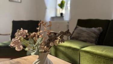 Rebennest in historischen Gebäude aus 1840 - Foto 1