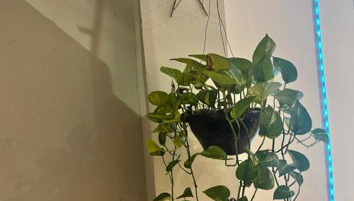 Gama Empreendimentos - Foto 4