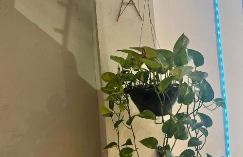 Gama Empreendimentos - Foto 4