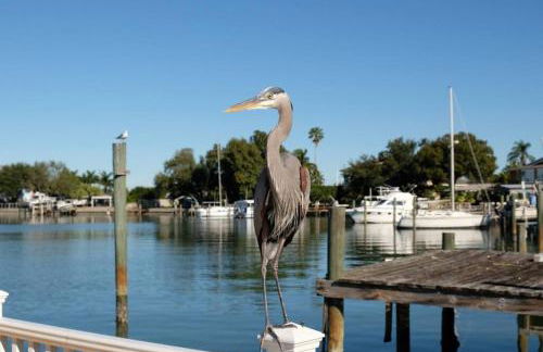 Villa Tranquility-Waterfront-Free Amenities-Heated Pool-Bikes-Dock Fishing & Beach Gear - Foto 57