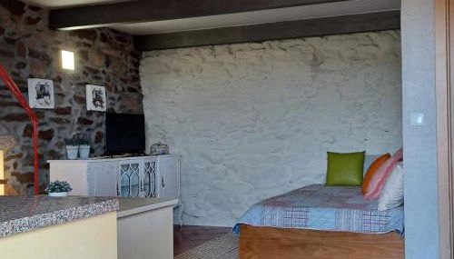 Casa do Feitor - Douro - Quinta da Cabrida - Foto 4