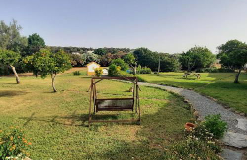 Herdade da Ordem - Foto 16