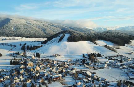 Le Chevreuil - Foto 9