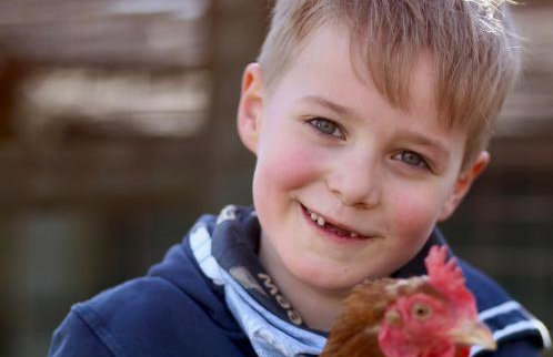 NORDSEE Bauernhof Familie Wulff FeWo "Südfall" - Foto 31